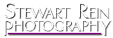 Stewart Rein Logo
